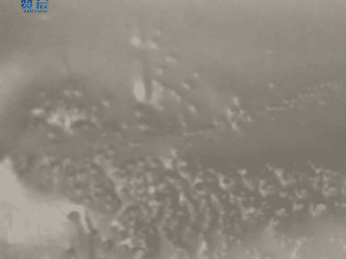 tpu膜 TPU防水透湿膜 本色中高透 tpu膜卷材 型号：ZC-ZGD-0.025