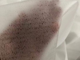 赞晨 EVA玻璃夹胶建筑钢化夹胶玻璃薄膜厚0.45mm