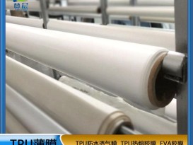 厂家直销防水透气膜乳白色低透复合面料雾面TPU功能薄膜 免费寄样