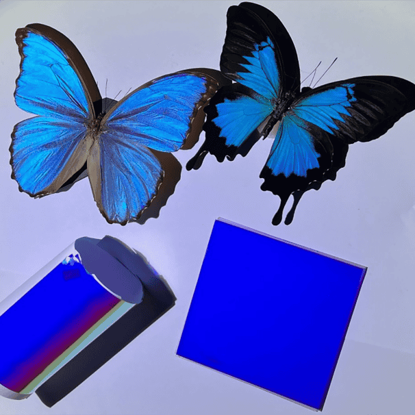 1691473323880811.png 62.png